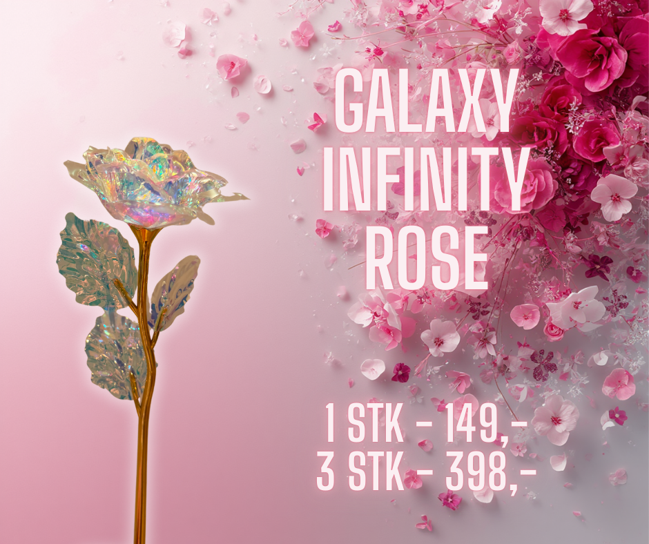 Infinity rósa